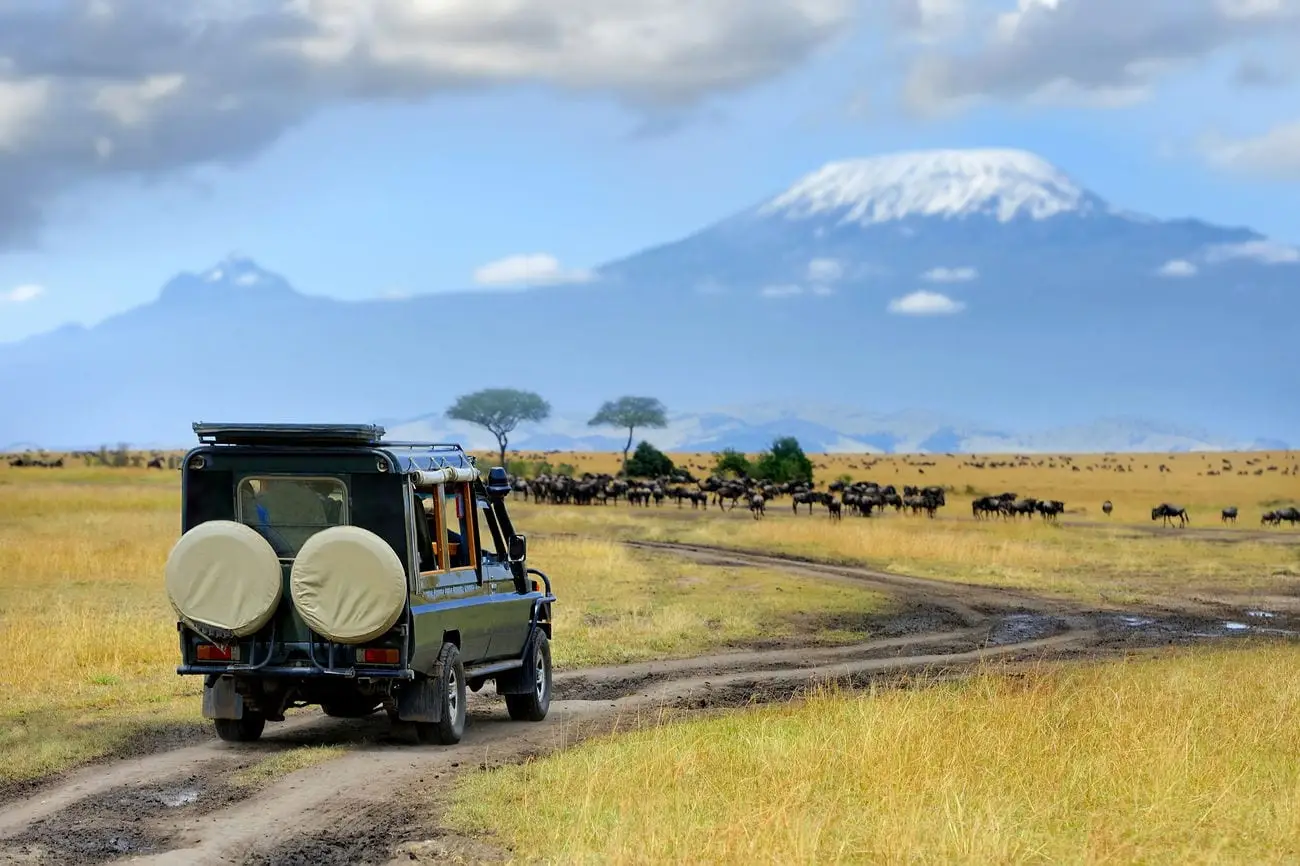 Kenia-safaritocht