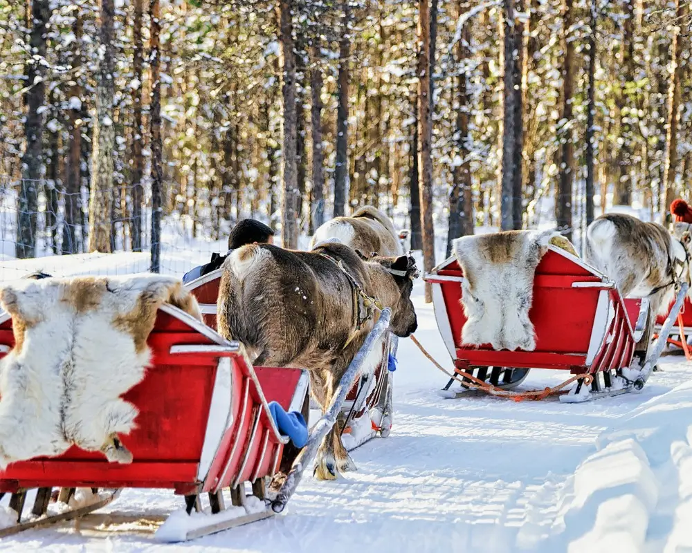 Rovaniemi-Finland-Lapland-Deposit2