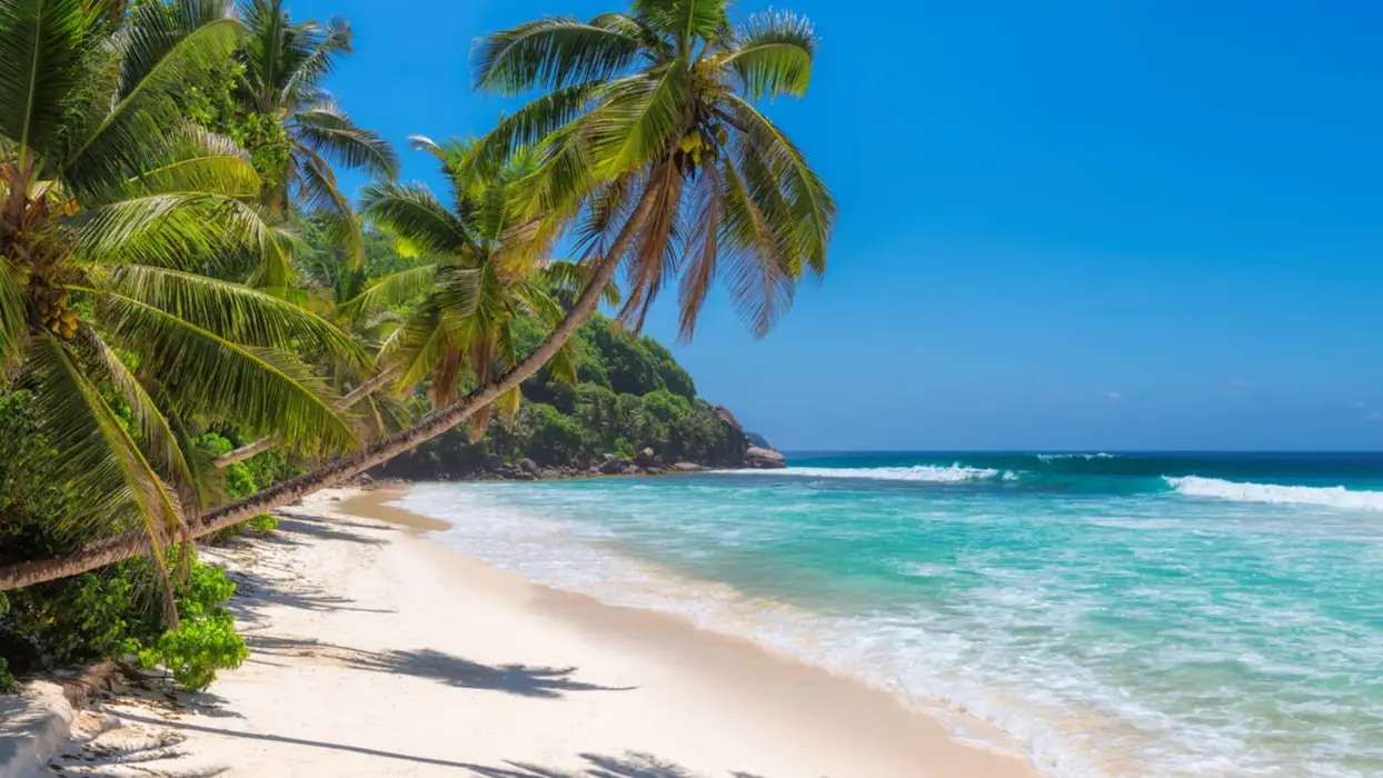 Jamaica-header