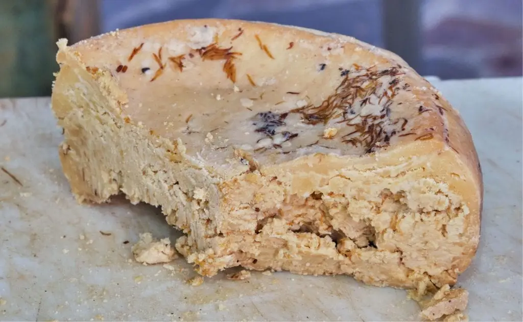 Casu Marzu