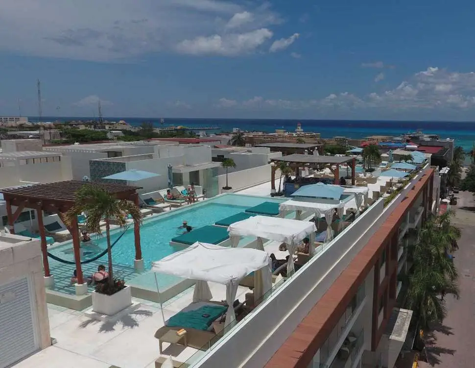 Scene-The-Palm-at-Playa1
