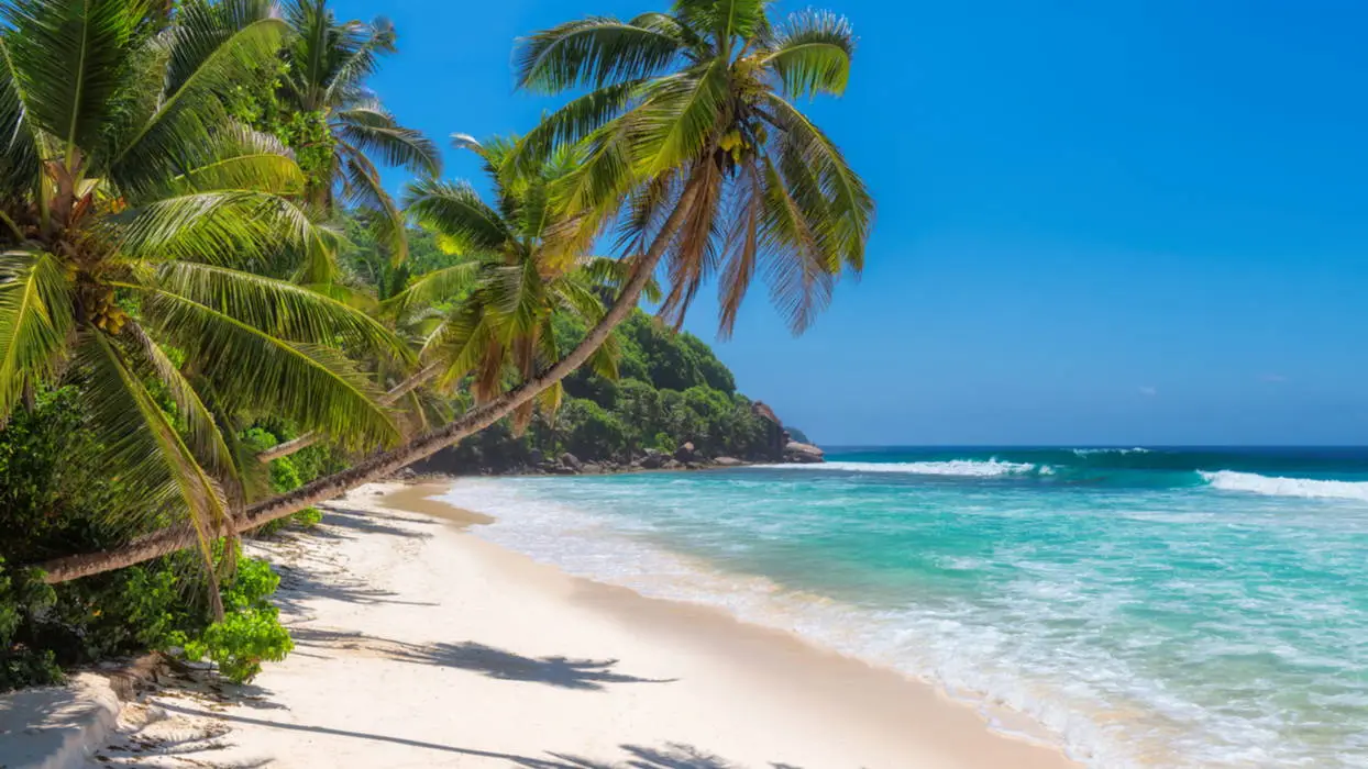 Jamaica-header-1