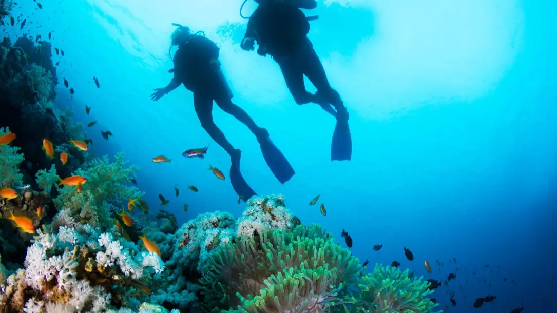 Mediterrane duikspots voor beginners