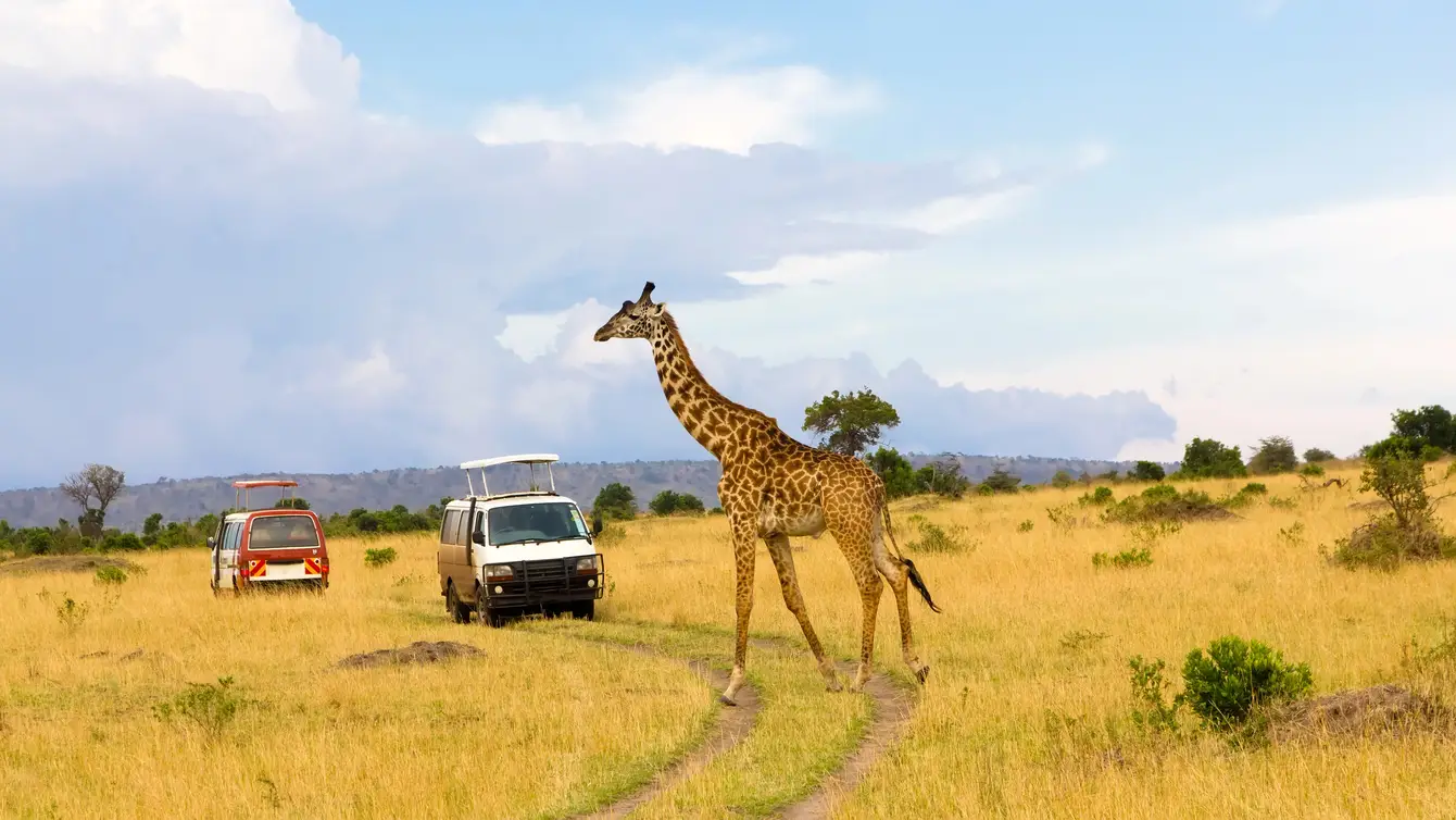 Vakantie Kenia