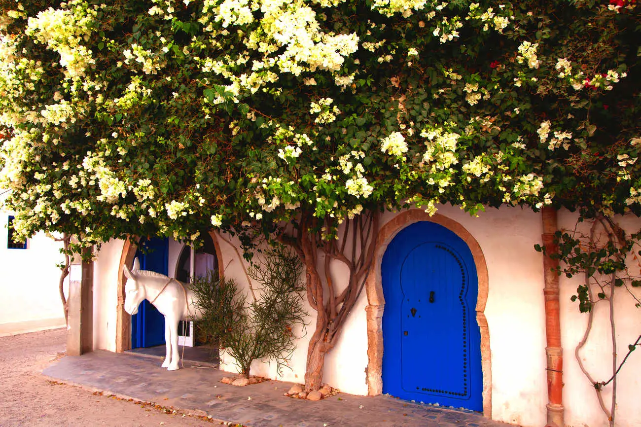 Djerba_tunsie_shutterstock1