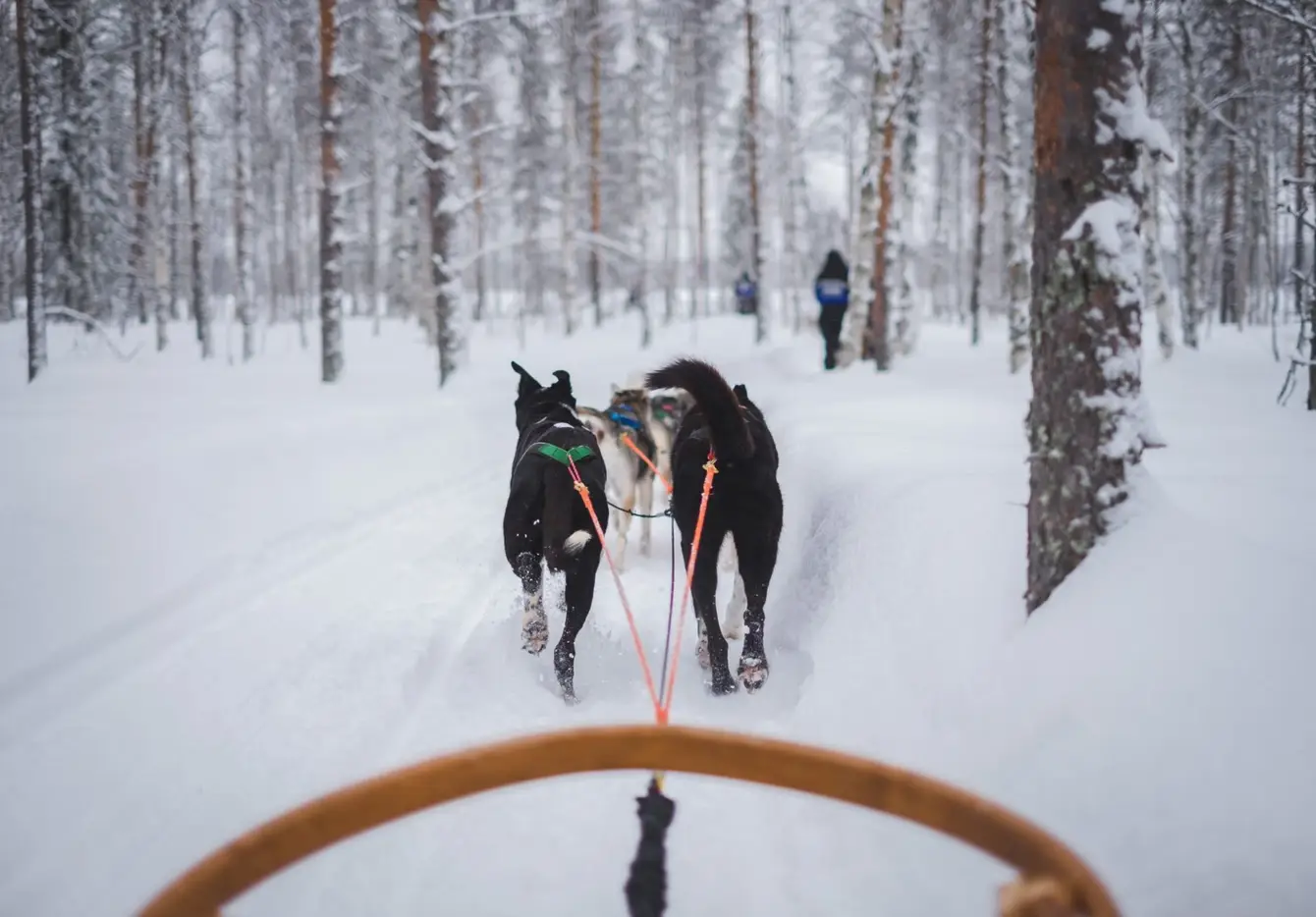 Jeremy-stenuit-Je6p3FF4jh0-unsplash-scaled