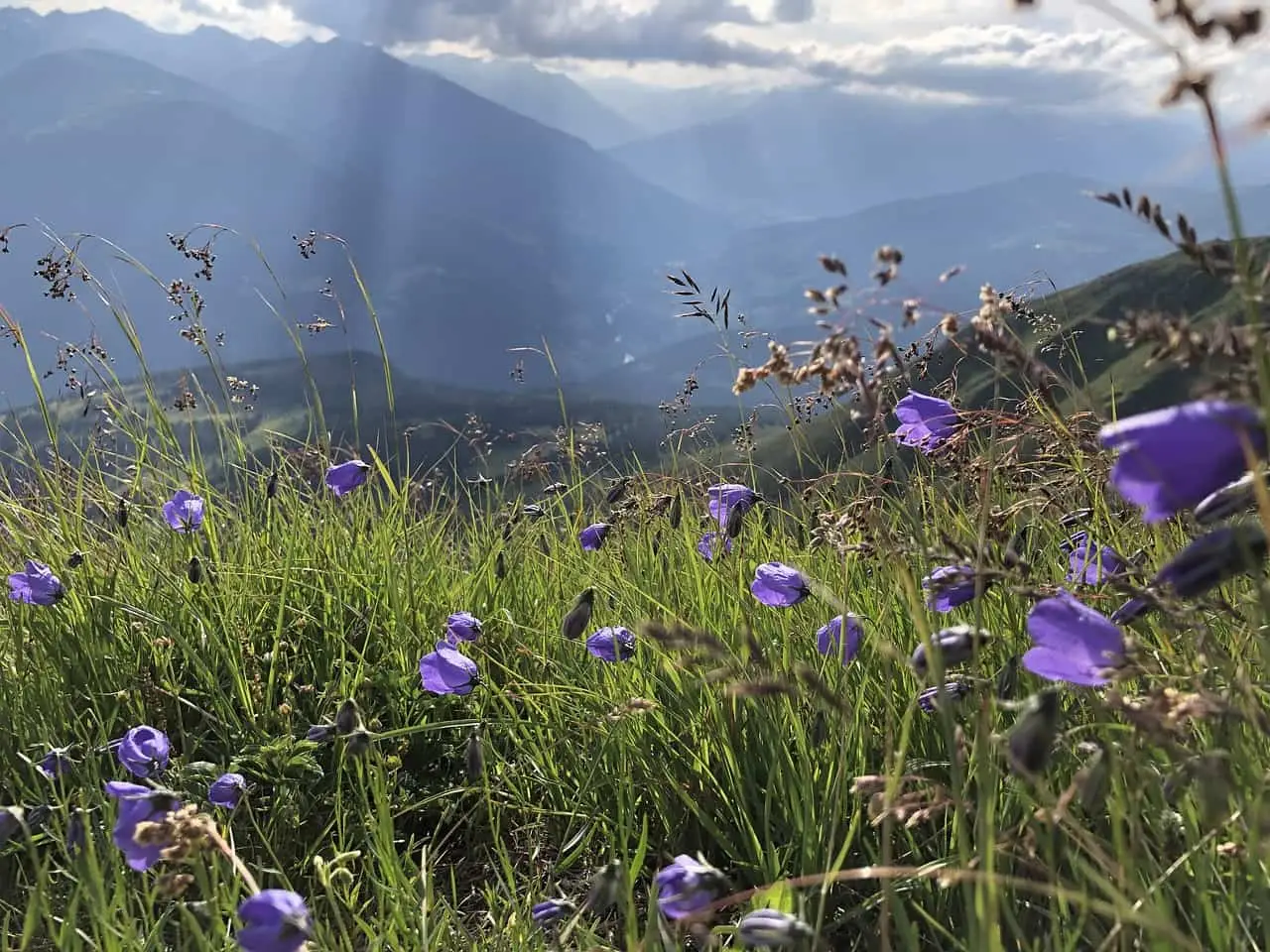 Tirol-Oostenrijk-Pixabay3