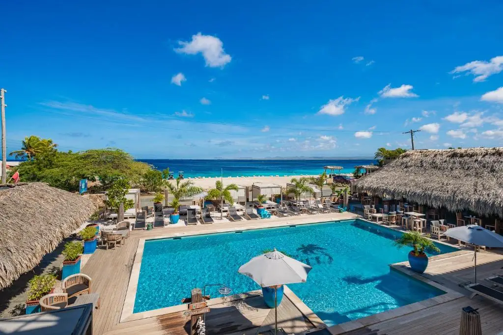 Bloozz-Bonaire-1